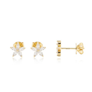 Gold and diamonds earrings